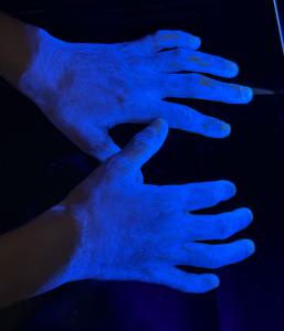 Gesund durch die Erkältungszeit