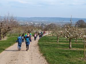 Wandertag zum Ferienstart